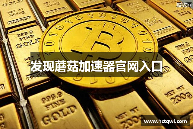 发现蘑菇加速器官网入口